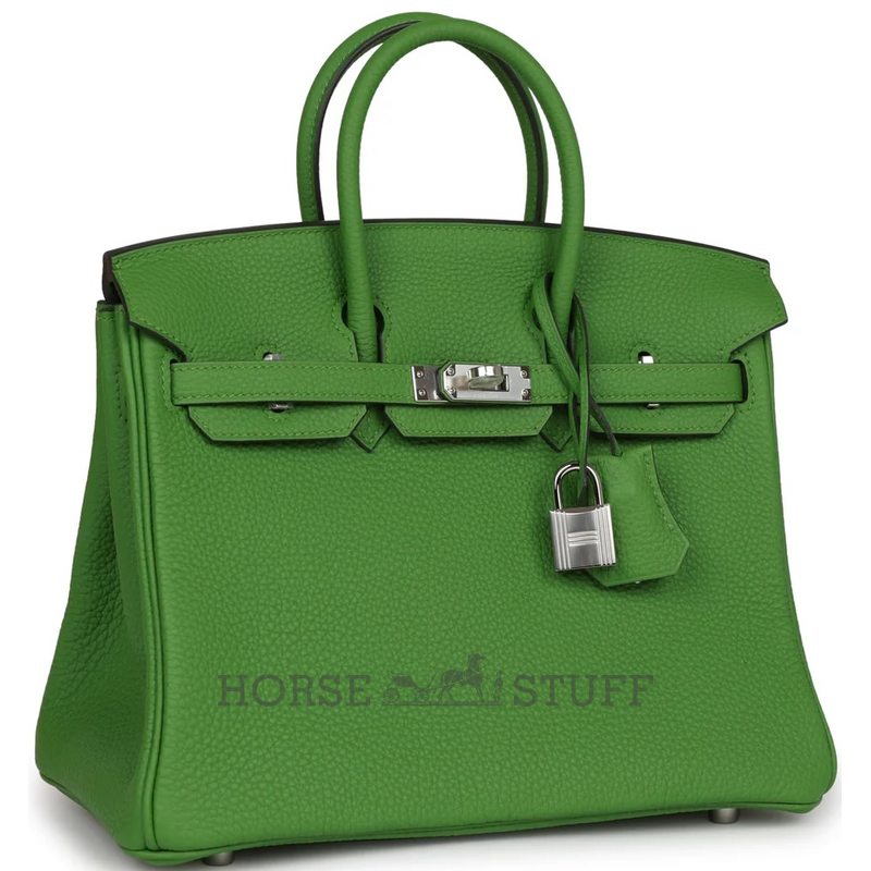 Hermès Birkin 25 Vert Yucca Togo PHW