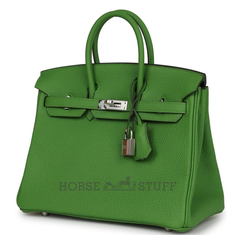 Hermès Birkin 25 Vert Yucca Togo PHW
