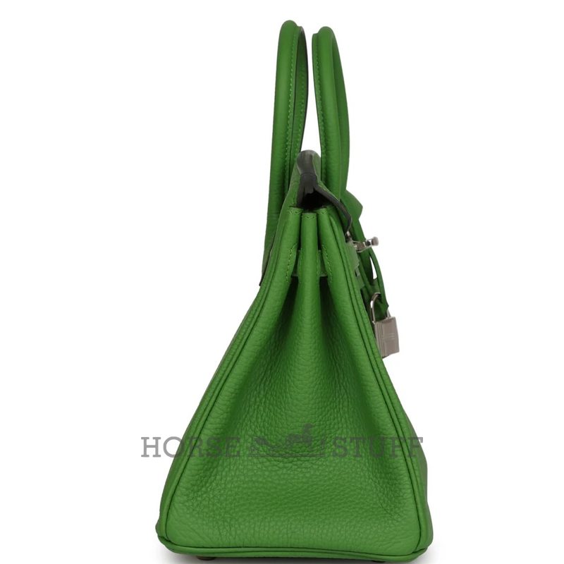 Hermès Birkin 25 Vert Yucca Togo PHW