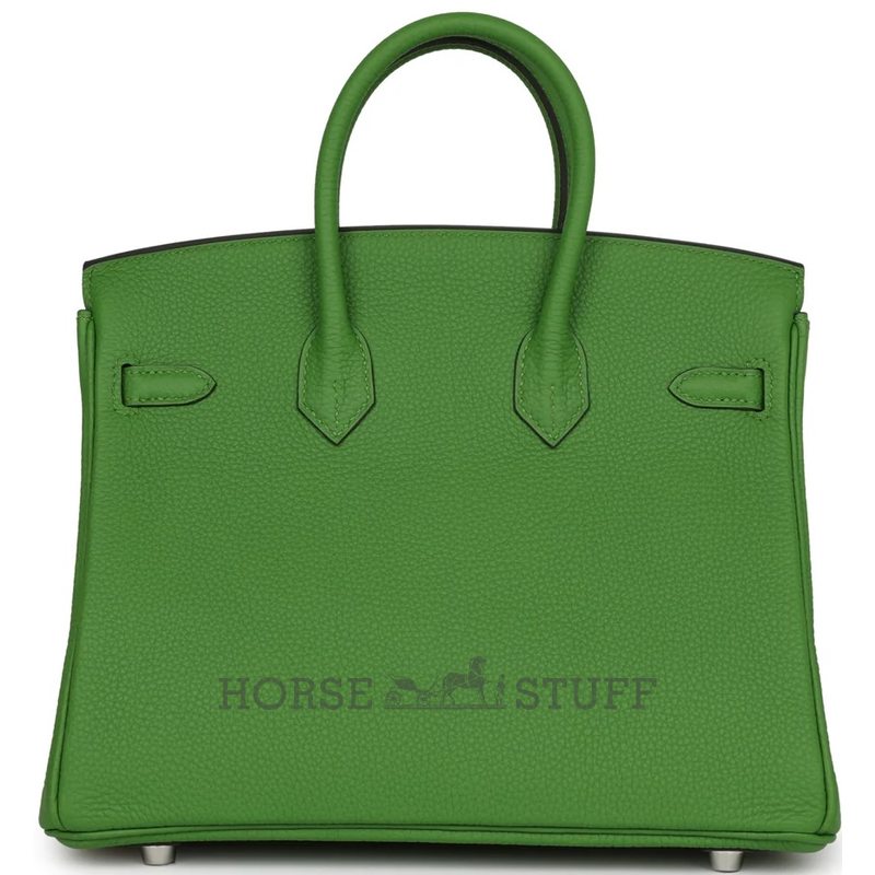 Hermès Birkin 25 Vert Yucca Togo PHW