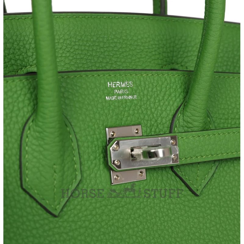 Hermès Birkin 25 Vert Yucca Togo PHW