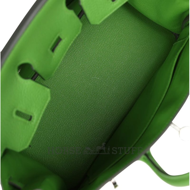 Hermès Birkin 25 Vert Yucca Togo PHW