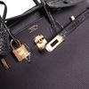 Hermès Birkin 25 Touch Raisin Togo / Prunoir Matte Crocodile Alligator RGHW