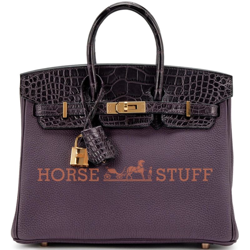 Hermès Birkin 25 Touch Raisin Togo / Prunoir Matte Crocodile Alligator GHW