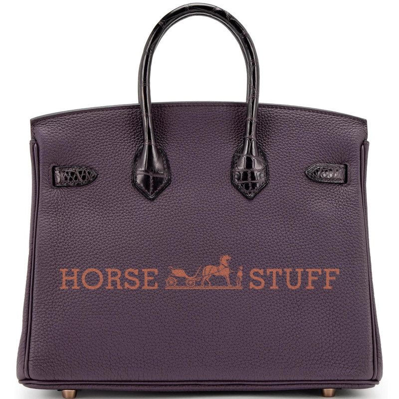 Hermès Birkin 25 Touch Raisin Togo / Prunoir Matte Crocodile Alligator GHW