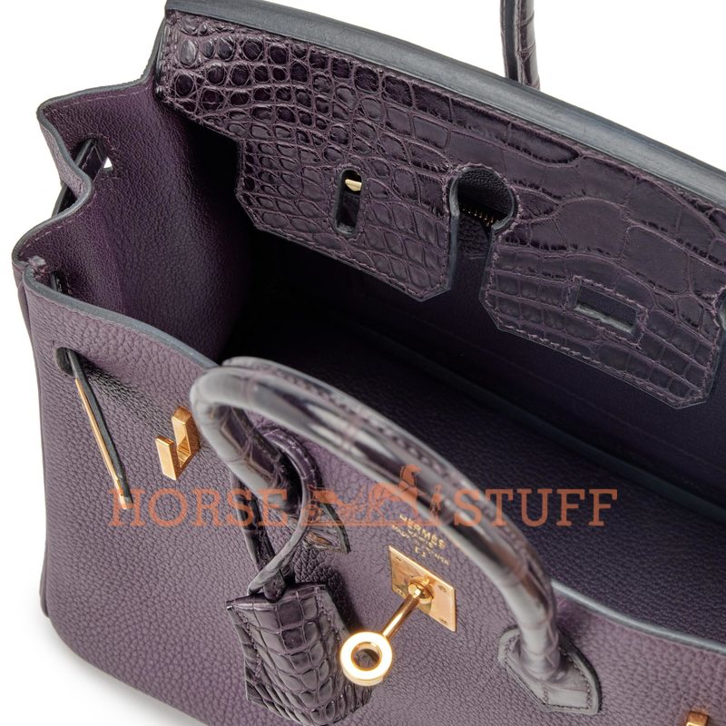 Hermès Birkin 25 Touch Raisin Togo / Prunoir Matte Crocodile Alligator GHW