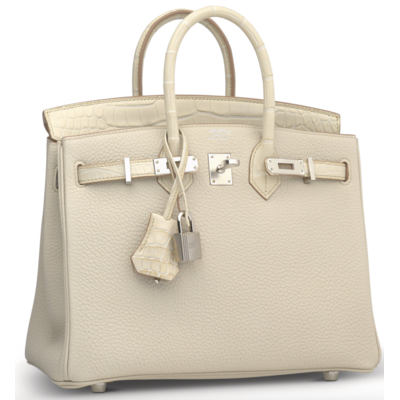 Hermès Birkin 25 Touch Beton Togo / Beton Matte Crocodile Alligator PHW