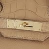 Hermès Birkin 25 Touch Chai Togo / Matte Crocodile Alligator Permabrass HW