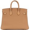 Hermès Birkin 25 Touch Beton Togo / Beton Matte Crocodile Alligator PHW