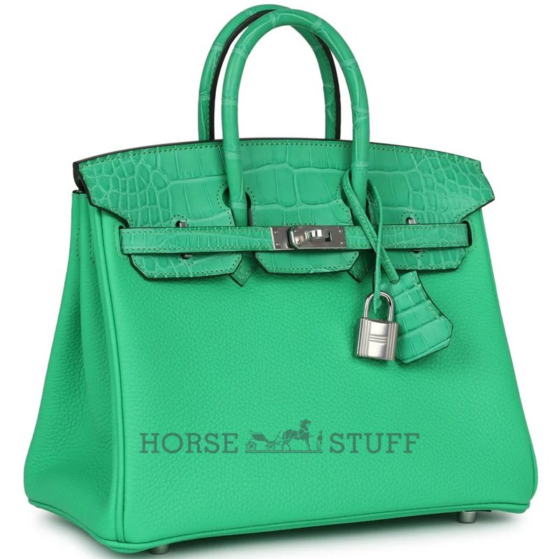 Hermès Birkin 25 Touch Vert Comics Togo / Matte Crocodile Alligator PHW