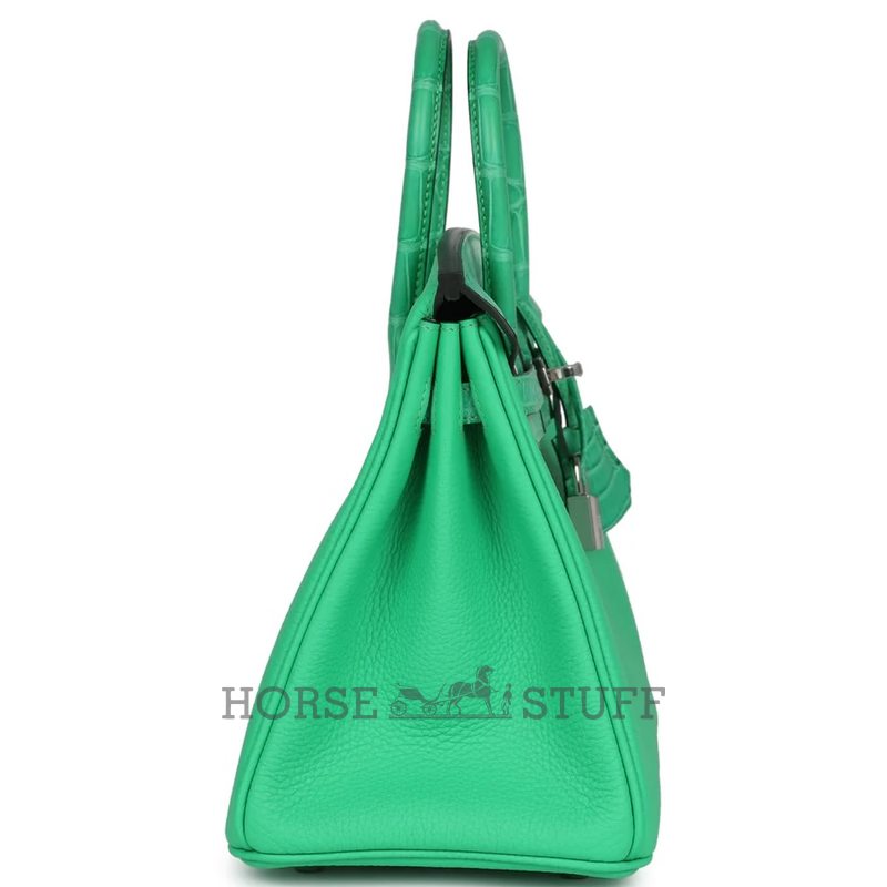 Hermès Birkin 25 Touch Vert Comics Togo / Matte Crocodile Alligator PHW