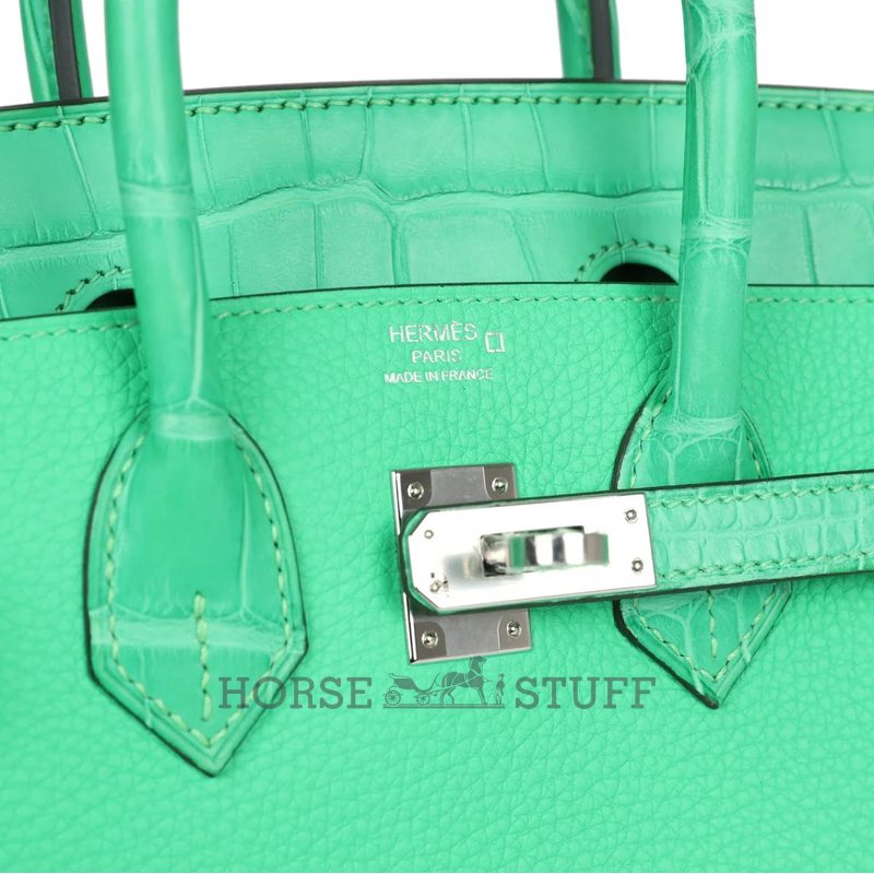 Hermès Birkin 25 Touch Vert Comics Togo / Matte Crocodile Alligator PHW