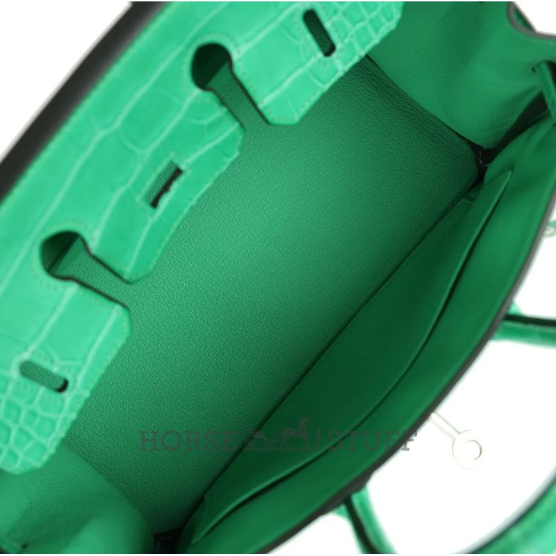 Hermès Birkin 25 Touch Vert Comics Togo / Matte Crocodile Alligator PHW