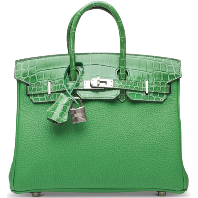 Hermès Birkin 25 Touch Bambou Togo / Cactus Lisse Crocodile Niloticus PHW