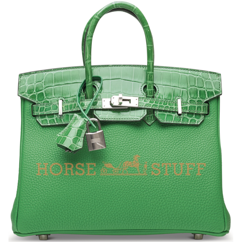 Hermès Birkin 25 Touch Bambou Togo / Cactus Lisse Crocodile Niloticus PHW