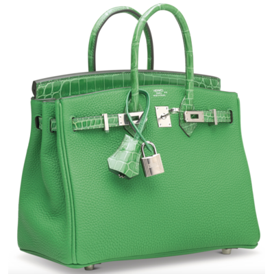 Hermès Birkin 25 Touch Bambou Togo / Cactus Lisse Crocodile Niloticus PHW