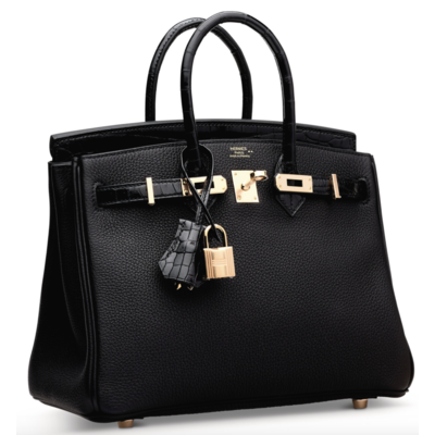 Hermès Birkin 25 Touch Black Togo / Black Lisse Crocodile Niloticus RGHW