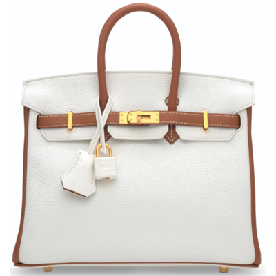 Hermès Birkin 25 Special Order HSS White / Gold Clemence BGHW