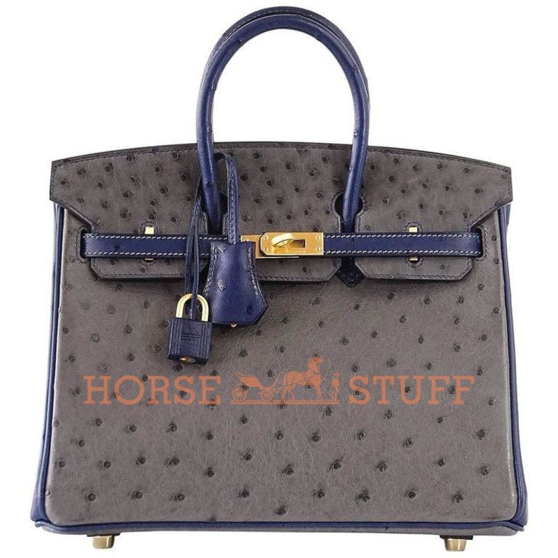 Hermès Birkin 25 Special Order HSS Gris Agate / Blue Sapphire Ostrich BGHW