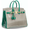 Hermès Birkin 25 Special Order HSS Gris Tourterelle / Vert Emerald Lisse Crocodile Porosus GHW