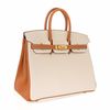 Hermès Birkin 25 Special Order HSS Craie / Gold Togo GHW