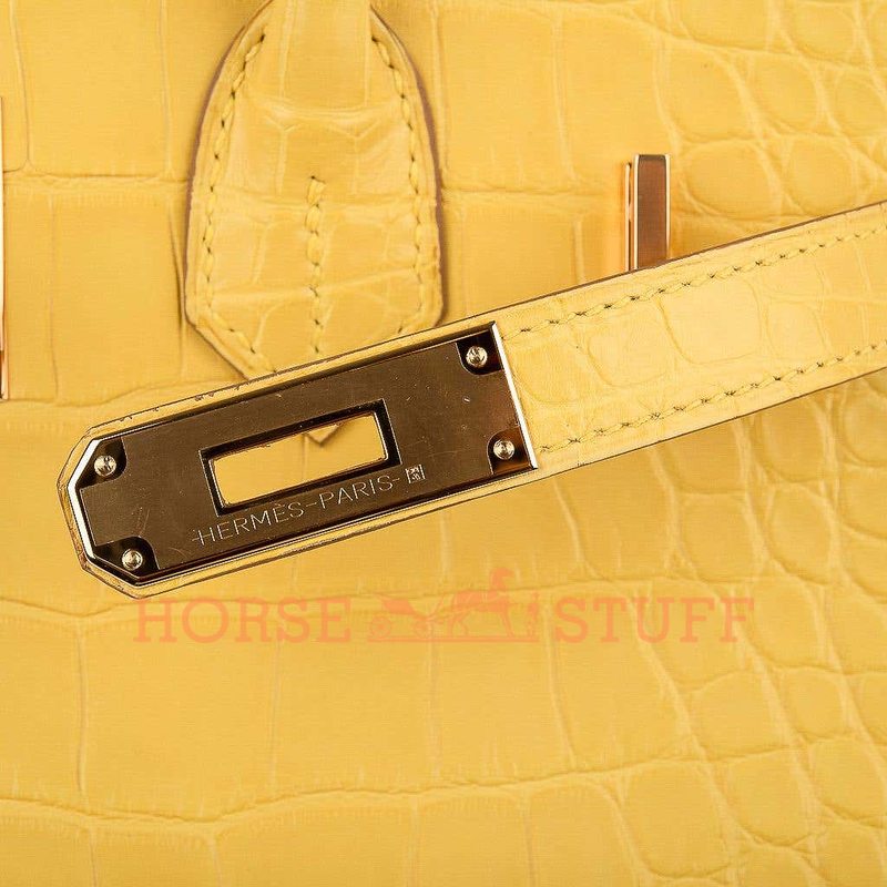 Hermès Birkin 30 Mimosa Matte Crocodile Alligator GHW