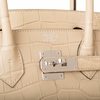Hermès Birkin 30 Trench Matte Crocodile Alligator PHW
