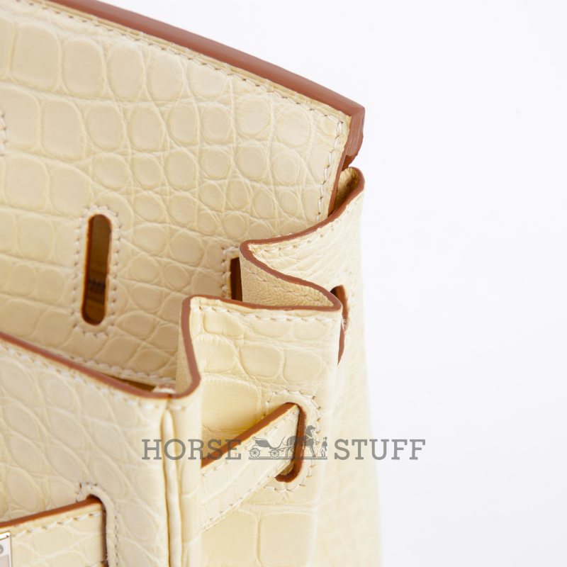 Hermès Birkin 30 Vanilla Matte Crocodile Alligator PHW
