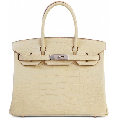 Hermès Birkin 30 Vanilla Matte Crocodile Alligator PHW