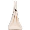 Hermès Birkin 30 Nata Clemence GHW