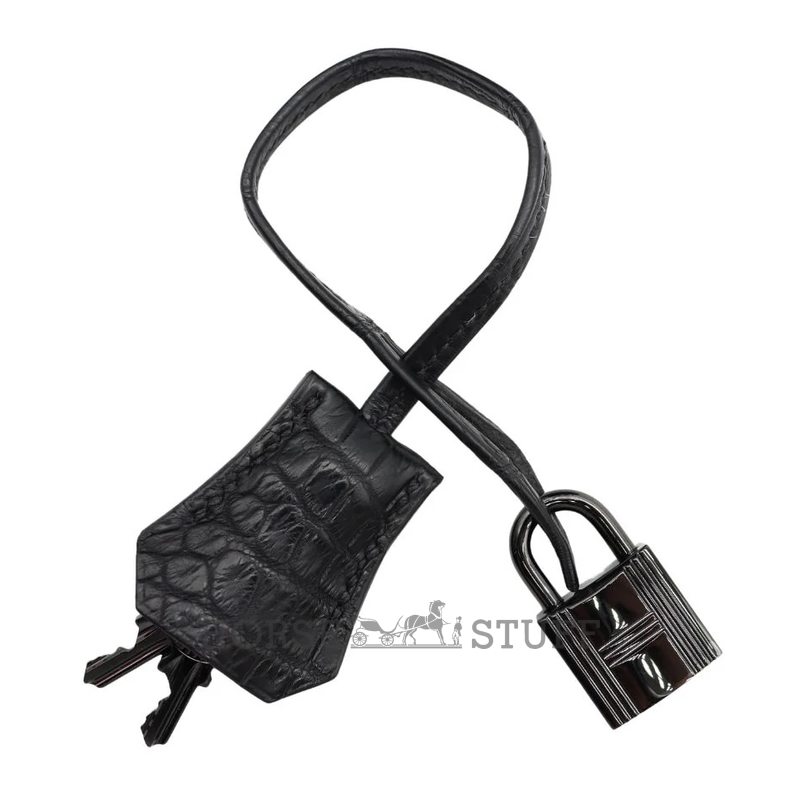 Hermès Birkin 30 Limited Edition "So Black" Black Matte Crocodile Niloticus PVD ( Black Hardware )