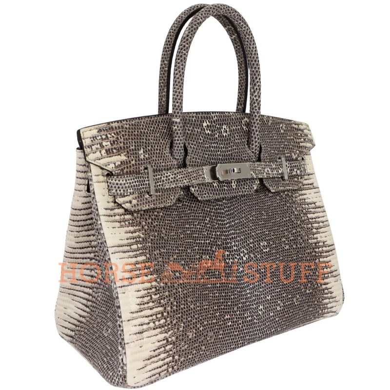 Hermès Birkin 30 Ombre ( White ) SHINY SALVATOR VARANUS LIZARD PHW