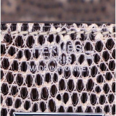 Hermès Birkin 30 Ombre ( White ) SHINY SALVATOR VARANUS LIZARD PHW