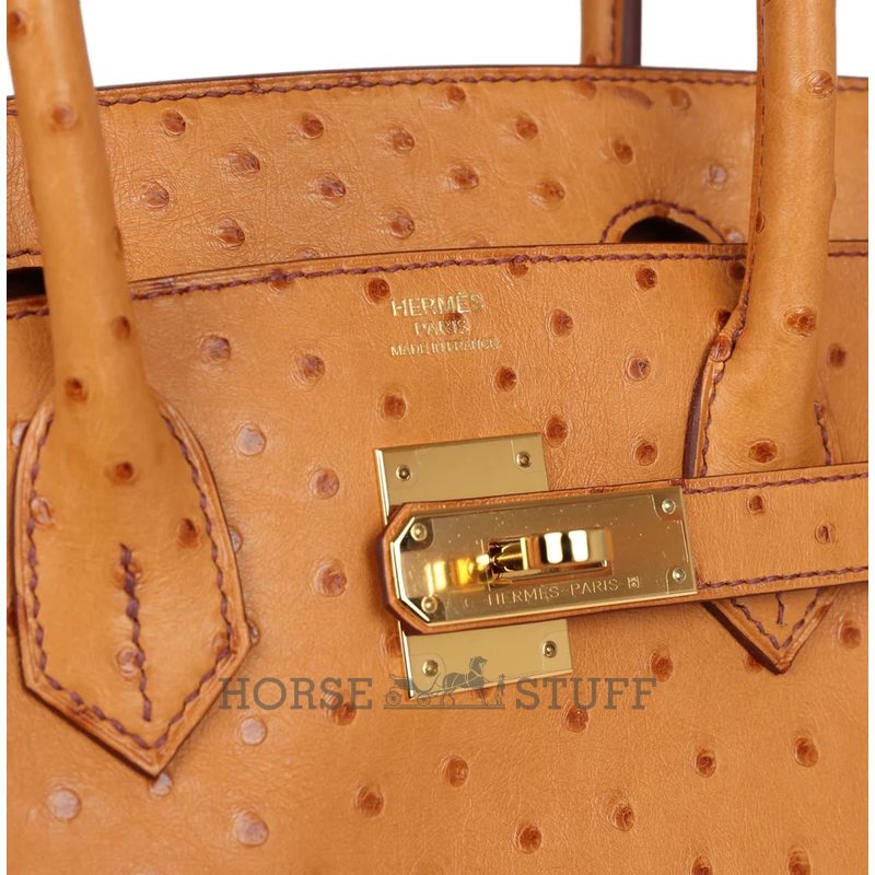 Hermès Birkin 30 Gold Ostrich GHW