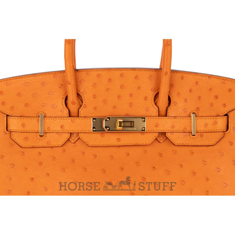 Hermès Birkin 30 Parchemin Ostrich GHW