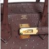 Hermès Birkin 30 Parchemin Ostrich GHW