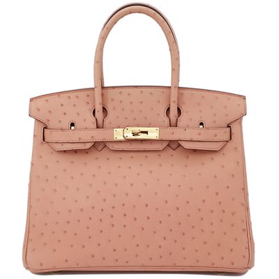 Hermès Birkin 30 Terre Cuite Ostrich GHW