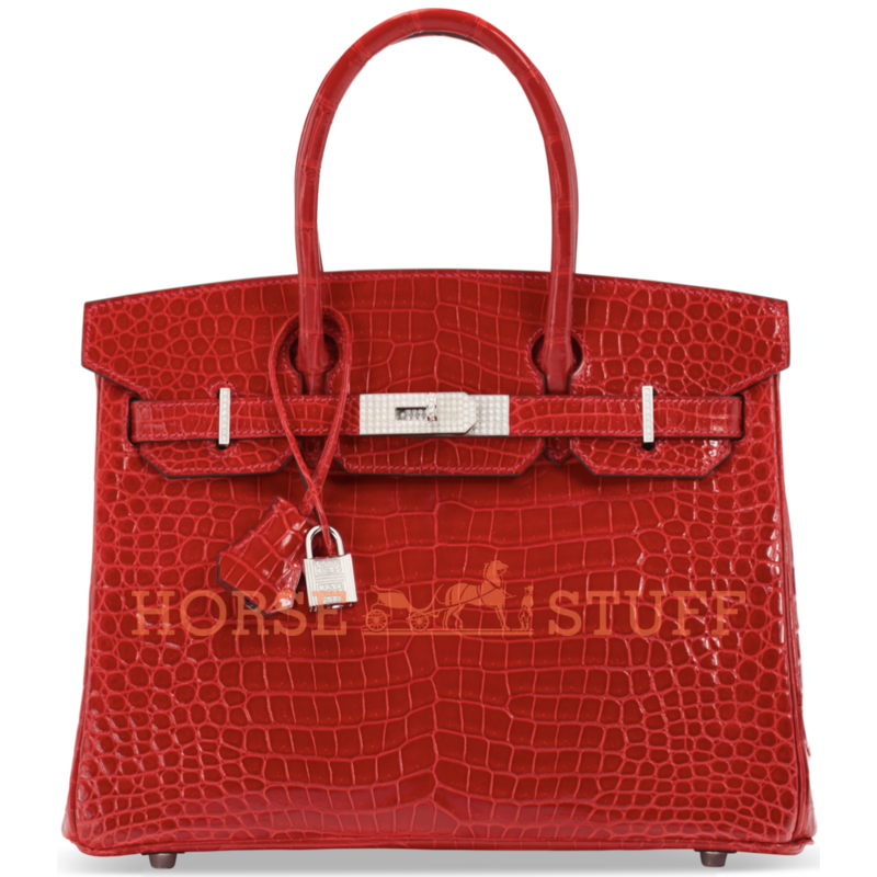 Hermès Birkin 30 Braise Lisse Crocodile Porosus White 18K Gold, Diamonds