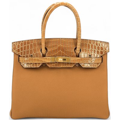 Hermès Birkin 30 Touch Caramel Togo / Tabac Camel Shiny Crocodile Niloticus GHW