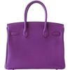 Hermès Birkin 30 Anemone Togo GHW