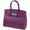 Hermès Birkin 30 Anemone Togo PHW