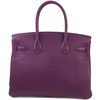 Hermès Birkin 30 Anemone Togo PHW