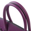 Hermès Birkin 30 Anemone Togo PHW