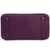 Hermès Birkin 30 Anemone Togo PHW