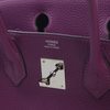 Hermès Birkin 30 Anemone Togo PHW