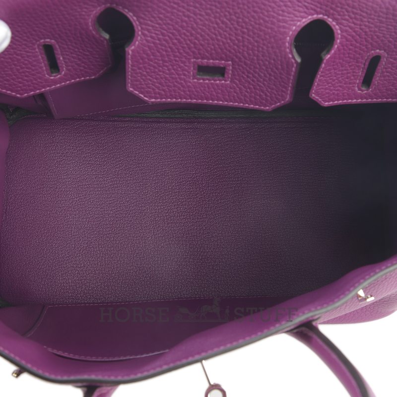 Hermès Birkin 30 Anemone Togo PHW