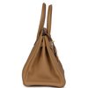 Hermès Birkin 30 Biscuit Togo GHW
