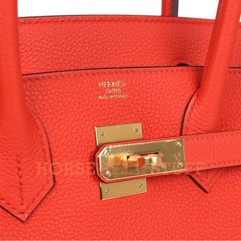 Hermès Birkin 30 Capucine Togo GHW