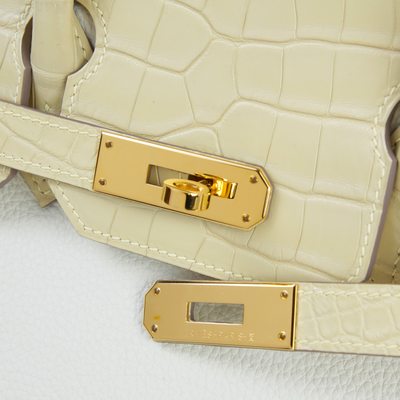 Hermès Birkin 30 Touch Mushroom Togo / Vanilla Matte Crocodile Alligator GHW