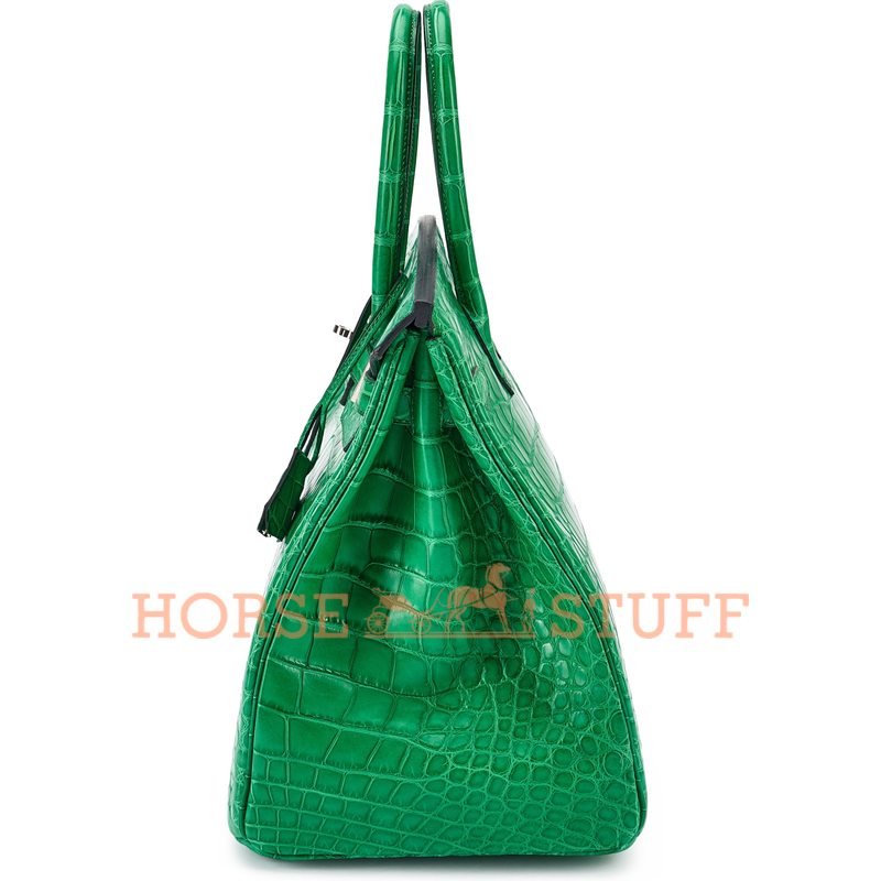 Hermès Birkin 35 Cactus Matte Crocodile Alligator PHW